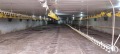Продава ПРОМ. ПОМЕЩЕНИЕ, област Разград, с. Ушинци • 600000 € • 91907444 — Holmes.bg