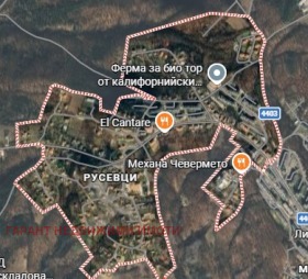 ����� ������� ����,���� �������, �������