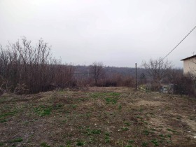 ������ ������� ������