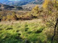 Продава ПАРЦЕЛ, с. Павелско, област Смолян, снимка 2
