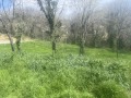 Продава ПАРЦЕЛ, с. Хрищени, област Стара Загора, снимка 2