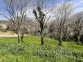 Продава ПАРЦЕЛ, с. Хрищени, област Стара Загора, снимка 1