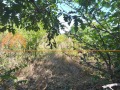 Продава ПАРЦЕЛ, град Варна, м-т Зеленика • 217500 € • 60126609 — Holmes.bg