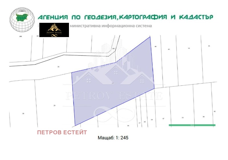 Продава ПАРЦЕЛ в област Пазарджик, гр. Велинград - 4590 кв.м / 45 000 € » 88 012.35 лв., ПЕТРОВ ЕСТЕЙТ