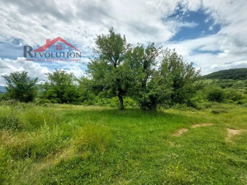 Продава ЗЕМЕДЕЛСКА ЗЕМЯ в област Кърджали, с. Калоянци - 1 дка / 15 000 € » 29 337.45 лв., РЕВОЛЮЦИЯ НЕДВИЖИМИ ИМОТИ 2022
