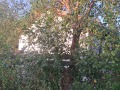 Продава КЪЩА, област Бургас, с. Мъглен • 23999 лв. / 12270.49 € • 31401036 6