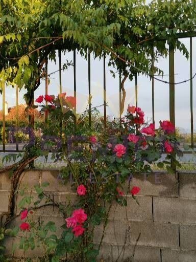 ������� ���� | Imot.bg � ����������� 14