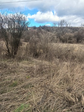 ������� ������ | Imot.bg � ����� ������ 2