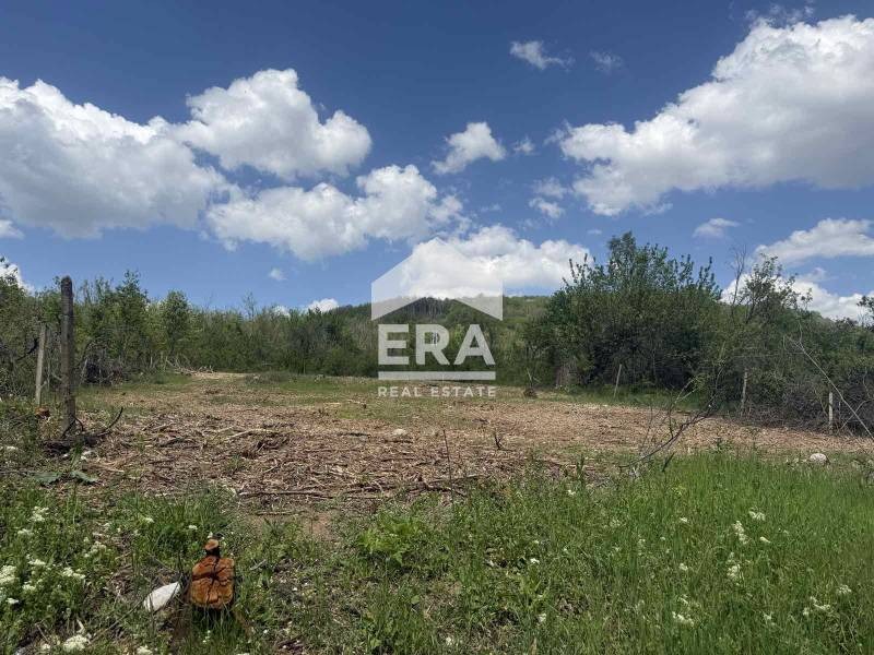 À venda  Trama região Veliko Tarnovo , Cheremetia , 1045 m² | 50593300 - imagem [4]