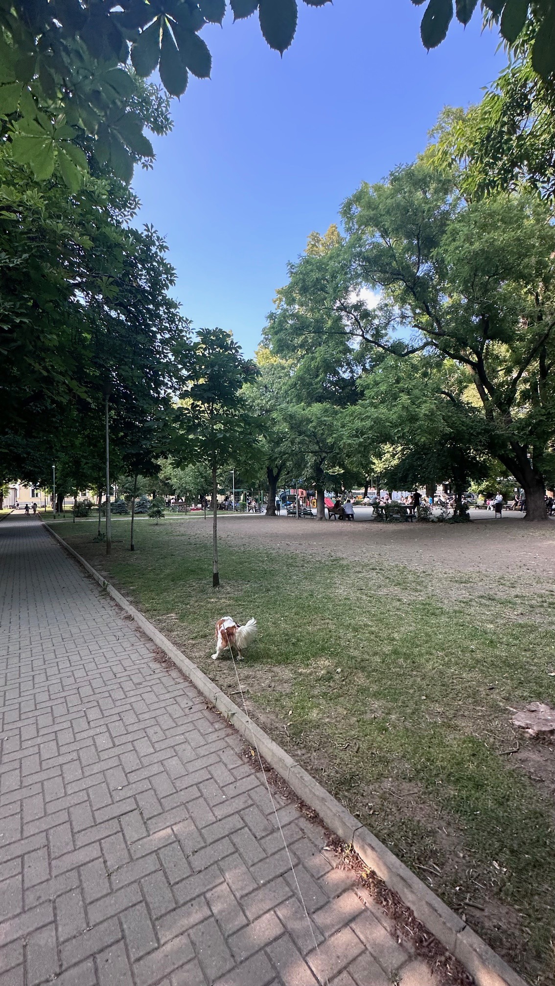 Продава 2-СТАЕН, гр. София, Сухата река, снимка 2 - Апартаменти - 53203244