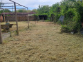 Продава КЪЩА, с. Градище, област Плевен, снимка 3