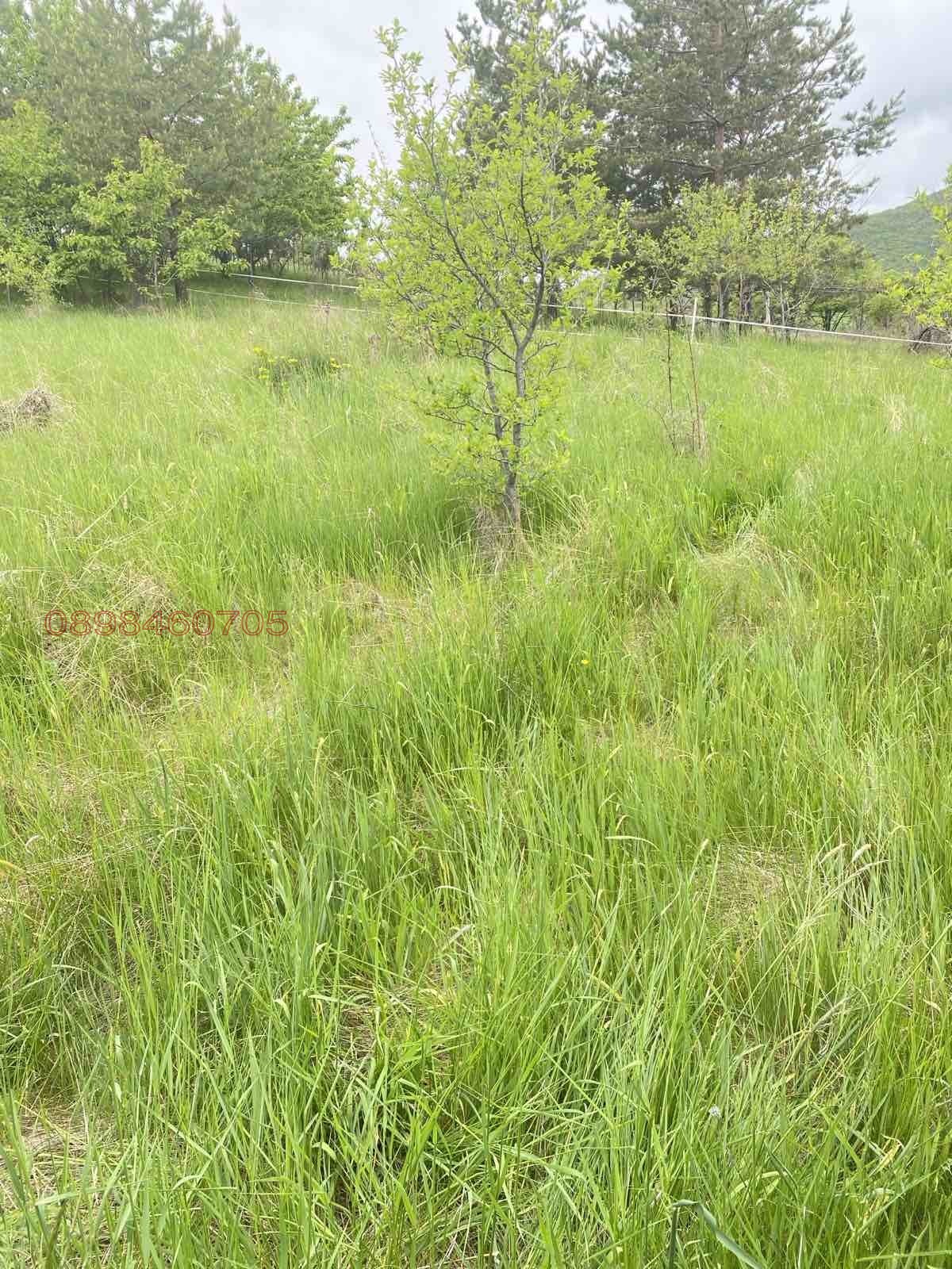 Продава КЪЩА, с. Коркина, област Кюстендил, снимка 3 - Къщи - 54465812