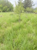 Продава КЪЩА, с. Коркина, област Кюстендил, снимка 3