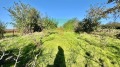 Продава ПАРЦЕЛ, с. Славеево, област Добрич, снимка 2