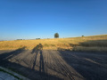 Продава  Парцел град Кърджали , Резбарци , 1700 кв.м | 54147816 - изображение [6]