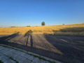 Продава  Парцел град Кърджали , Резбарци , 1700 кв.м | 54147816 - изображение [3]