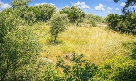 ������� ���� | Imot.bg � ����� ������ 15
