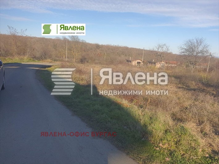 Продава ПАРЦЕЛ, с. Велика, област Бургас, снимка 4 - Парцели - 48986385