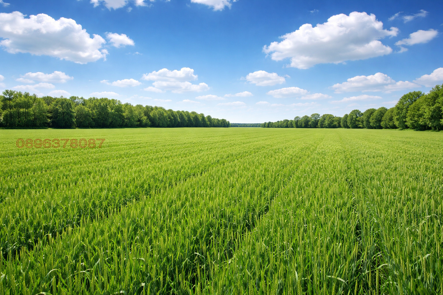 Продава ПАРЦЕЛ, с. Здравец, област Варна