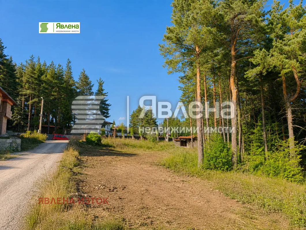Продава ПАРЦЕЛ, гр. София, с. Железница, снимка 4 - Парцели - 56288976