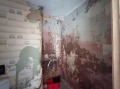 Продава 2-СТАЕН, гр. Пазарджик, Идеален център, снимка 11