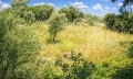 Продава  Вила Гърция , Халкидики , 212 кв.м | 26524463 - изображение [15]