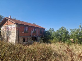 ����� ������� ����,�. �����, ������ �������