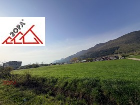 ����� ������� ������,���� �����, �������