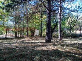 ������� ������ | Imot.bg � ����� ������ 8