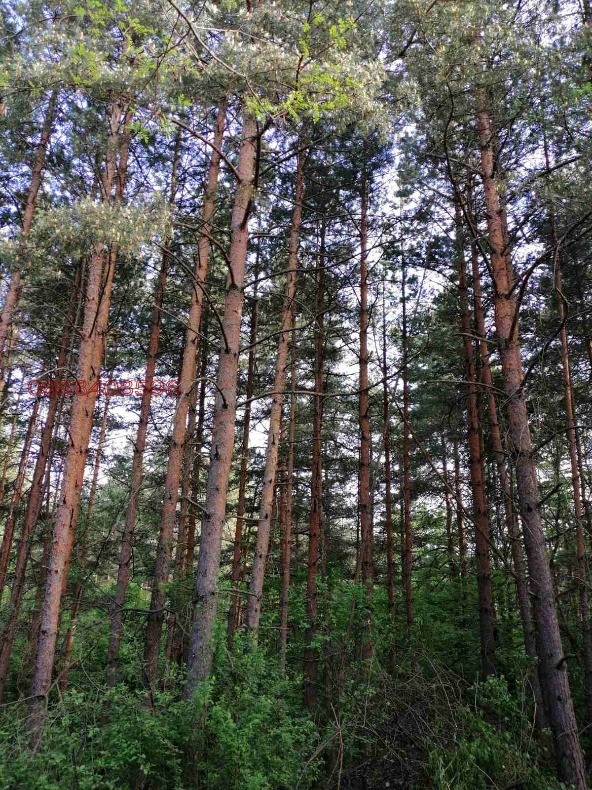 Продава ПАРЦЕЛ, гр. София, м-т Щъркелово гнездо, снимка 13 - Парцели - 55177805