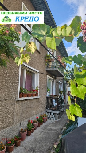 ����� ������� 3-�����,���� ������, ������ ������