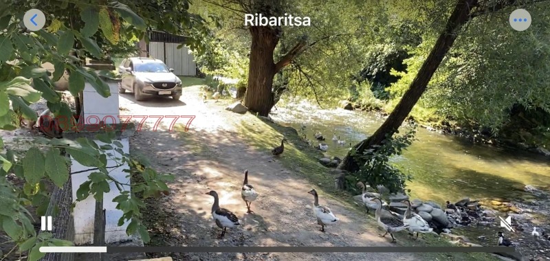 In vendita  Complotto regione Lovech , Ribaritsa , 500 mq | 27893523 - Immagine [4]