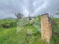 Продава КЪЩА, област Шумен, гр. Нови пазар • 25000 лв. • 78624767 — Holmes.bg