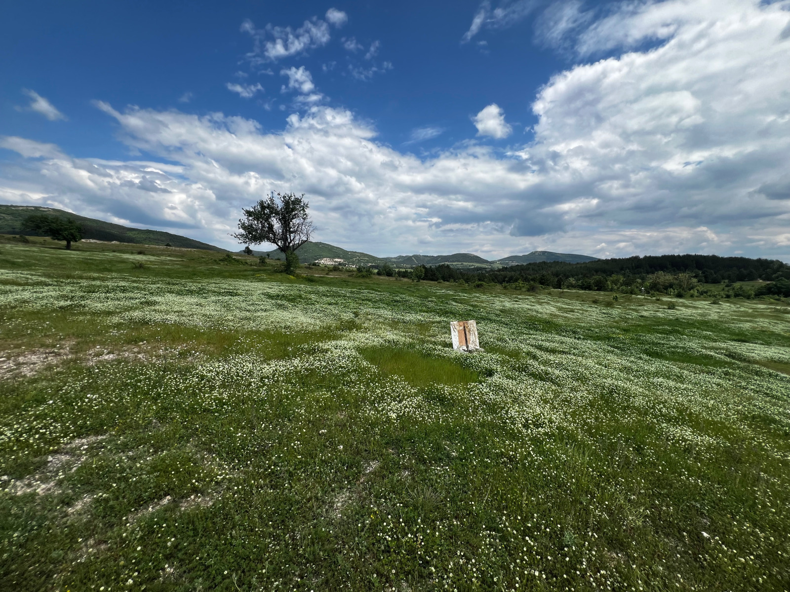 ������� ������ | Imot.bg � ����������� 3