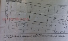 ����� ������� ������,�. �������� ������, ������ �������