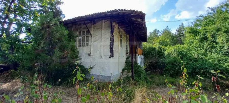 Myytävänä  Talo Veliko Tarnovo alue , Arbanasi , 370 neliömetriä | 76623978 - kuva [16]