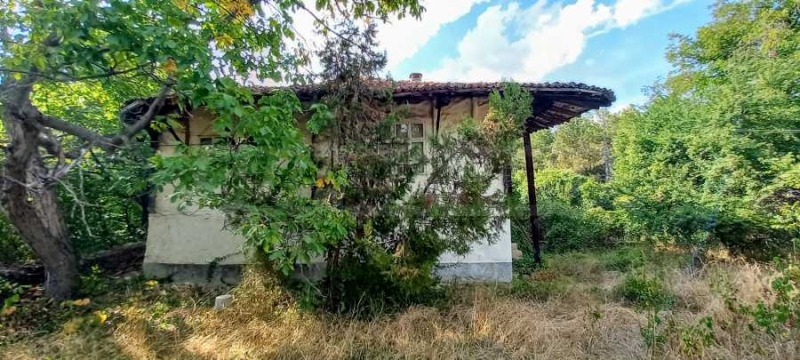 Myytävänä  Talo Veliko Tarnovo alue , Arbanasi , 370 neliömetriä | 76623978 - kuva [15]