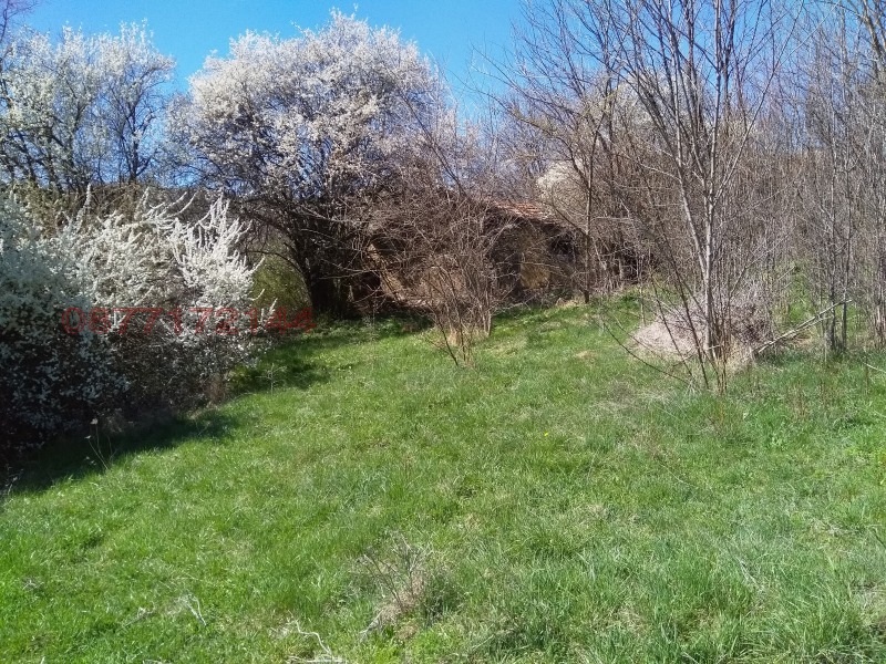 Продава ПАРЦЕЛ, гр. Перник, Кошаревска махала