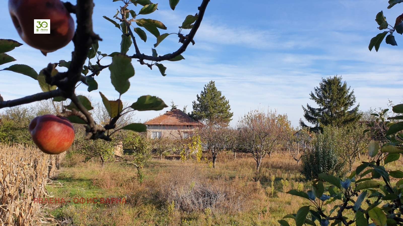 ������� ���� | Imot.bg � ����������� 3