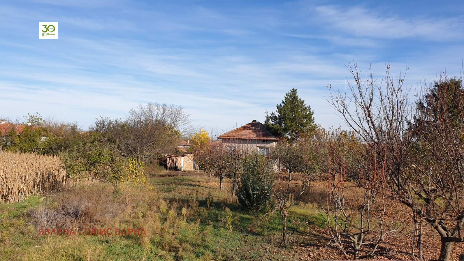 ������� ���� | Imot.bg � ����������� 11