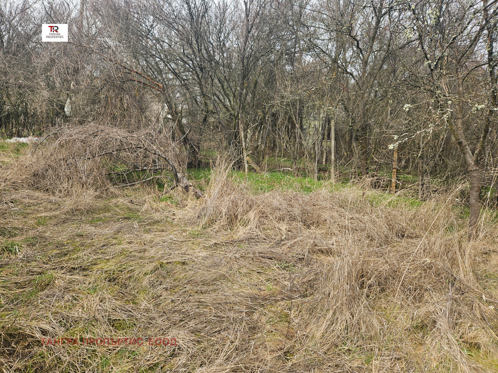 ������� ������ | Imot.bg � ����������� 2