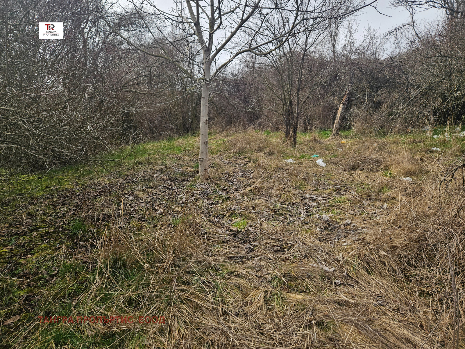 ������� ������ | Imot.bg � ����������� 1