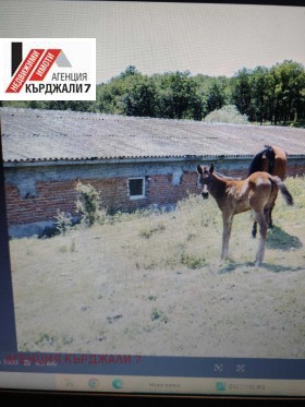 ������� ����. ��������� | Imot.bg � ����� ������ 9