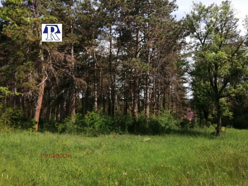 In vendita  Casa regione Lovech , Aglen , 210 mq | 29431316 - Immagine [16]