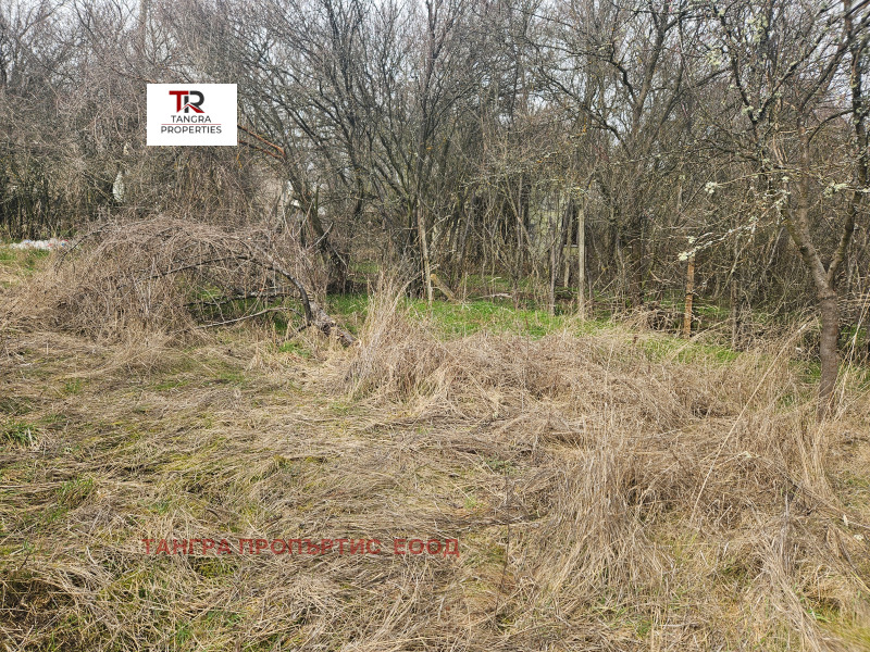 Продава ПАРЦЕЛ, с. Николаево, област Перник, снимка 2 - Парцели - 53593069