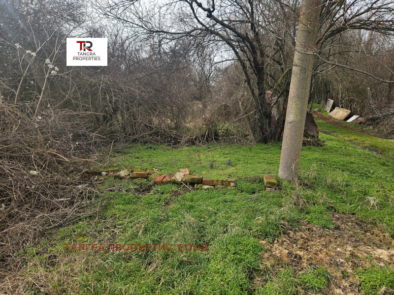 Продава ПАРЦЕЛ, с. Николаево, област Перник, снимка 3 - Парцели - 53593069