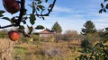 Продава КЪЩА, с. Екзарх Йосиф, област Русе, снимка 3