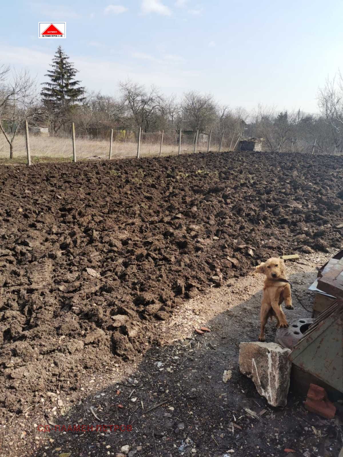 ������� ������ | Imot.bg � ����������� 2