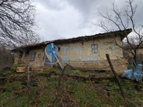 ����� ������� ����,�. ��������, ������ ������ �������