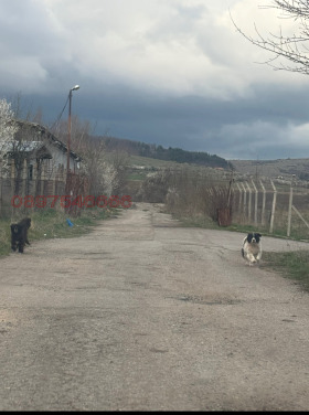  .  | Imot.bg    7